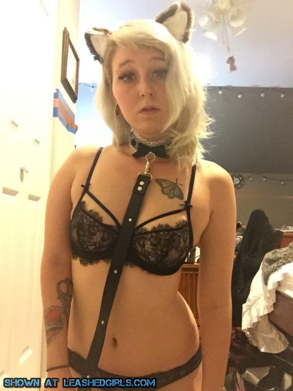 Black underwear, collar and ears